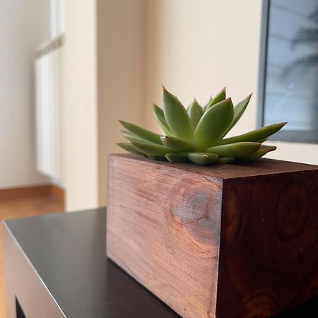Apartamento Nuskis Porriño Exteriör bild