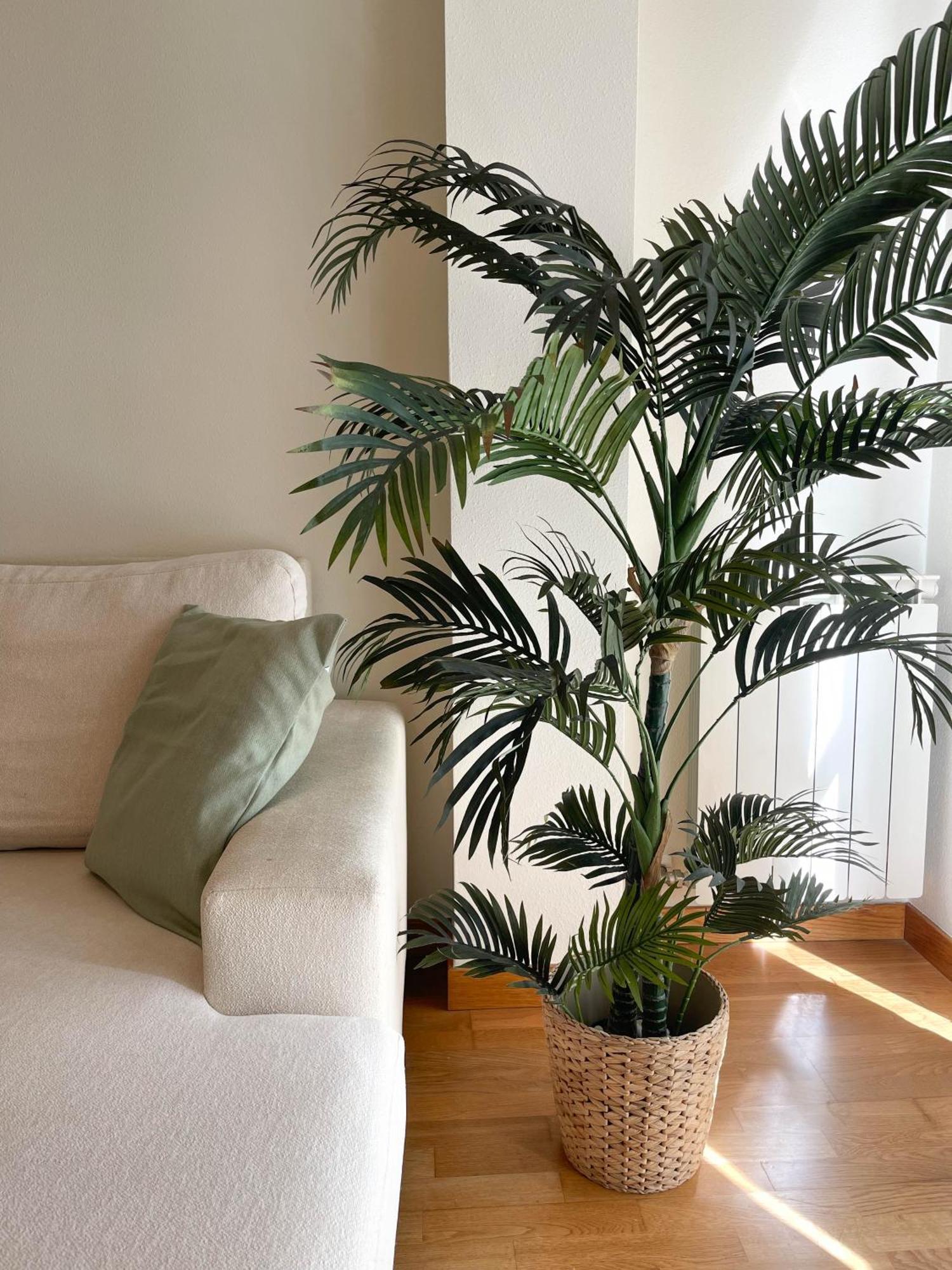Apartamento Nuskis Porriño Exteriör bild